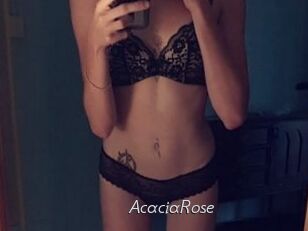 AcaciaRose