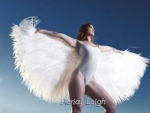 Aerial_Leigh