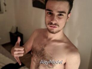 AleyModel