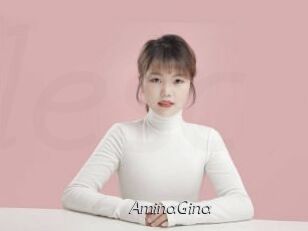 AminaGina
