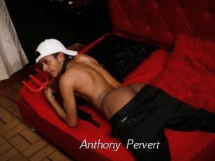 Anthony_Pervert