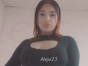 Aleja23