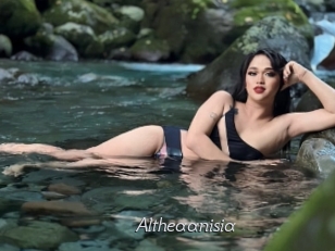 Altheaanisia