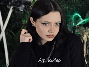 Aminaklep
