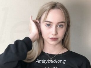 Amitybudlong