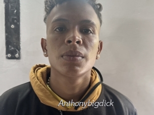 Anthonybigdick