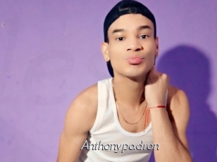 Anthonypadron