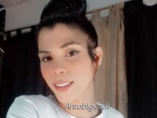 Antobigcock