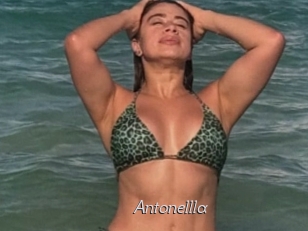 Antonellla