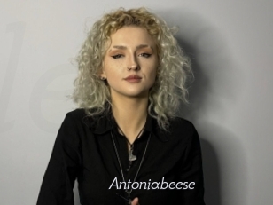 Antoniabeese