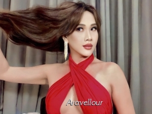 Aravellour