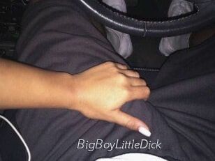 BigBoyLittleDick