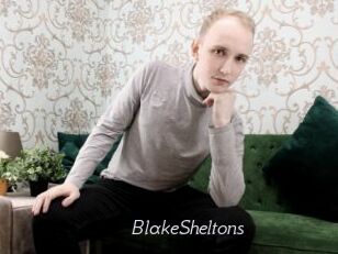 BlakeSheltons