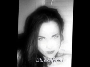 Blueladybird