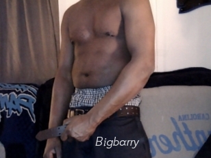 Bigbarry