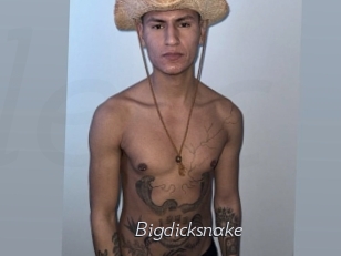 Bigdicksnake