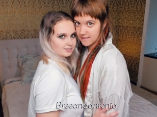 Breeandantonia