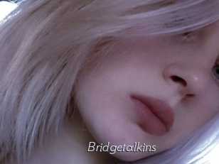 Bridgetalkins