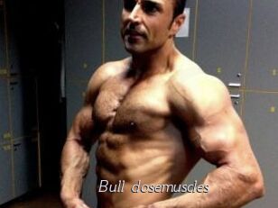 Bull_dosemuscles