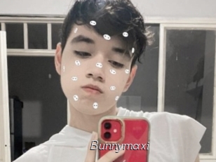 Bunnymaxi