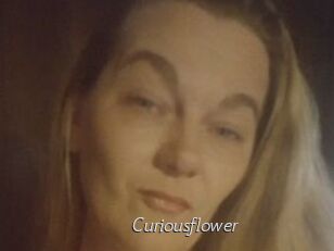 Curiousflower