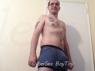 CyberSex_BoyToy