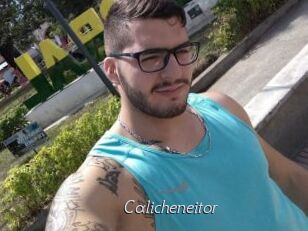 Calicheneitor