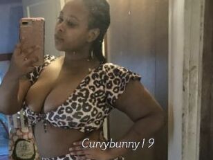 Curvybunny19