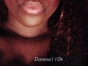 Domina110k