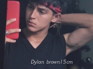 Dylan_brown15cm