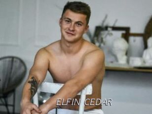 ELFIN_CEDAR