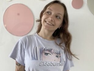 Eldaburner