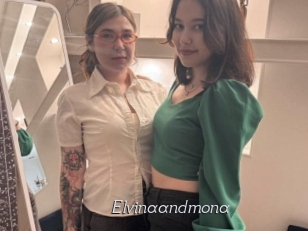 Elvinaandmona