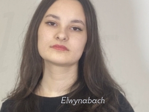 Elwynabach