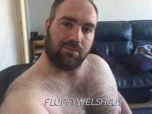 FLUFFYWELSHGUY