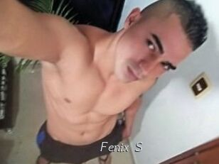 Fenix_S