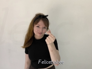 Felicebisbee