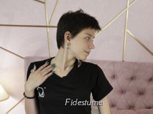 Fidesturner