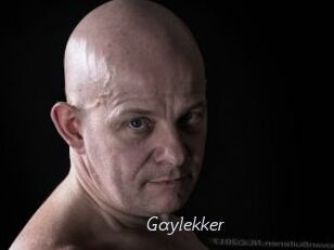 Gaylekker