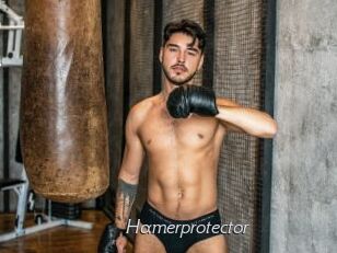Hamerprotector