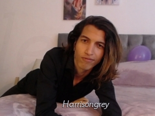 Harrisongrey