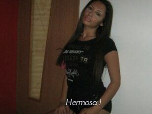 Hermosa1