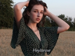 Heylarose