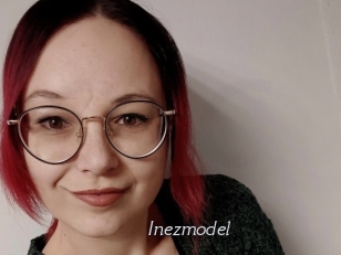 Inezmodel