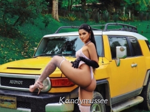 Kandymussee