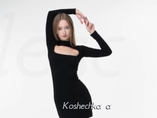 Koshechka_a