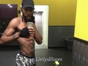 Lledys_Bloom