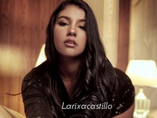 Larixacastillo