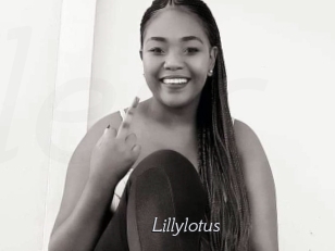 Lillylotus