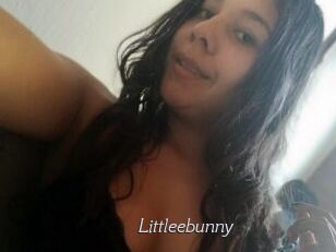 Littleebunny